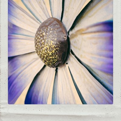 Macro shot of a metallic flower sculpture showing a dark brown central disc dusted with gold speckles, surrounded by radiating light purple and cream petals.