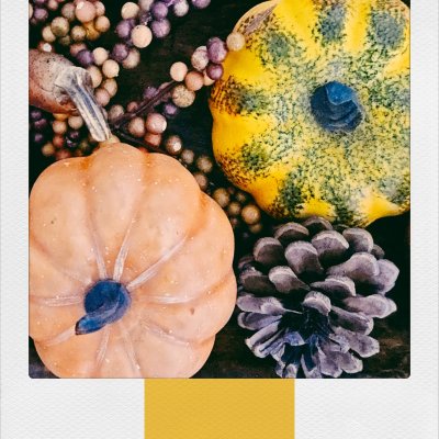 A close-up top-down view of autumn decorations inside a Polaroid frame. The display features a smooth peach-colored mini pumpkin, a yellow gourd speckled with green, a dusty purple-grey pinecone, and strands of small purple and tan berries against a dark wood background. The white Polaroid border is decorated with a vertical yellow stripe running down the middle of the top and bottom margins.