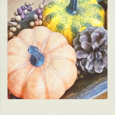 A close-up, high-angle shot of a seasonal autumn display featuring a small, pale orange pumpkin with a dark stem in the foreground, next to a yellow and green speckled gourd, a single pinecone, and sprigs of small purple berries in a wooden container.