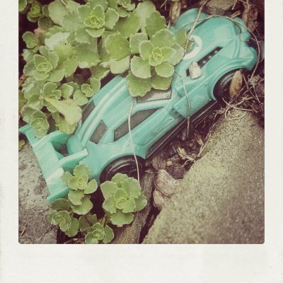 A high-angle, close-up shot of a turquoise toy race car, decorated with a green "L" symbol, nestled among small green succulent plants and dry soil next to a concrete curb, framed by a white polaroid border.