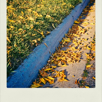 High-angle view of a street curb running diagonally, with green grass and scattered yellow autumn leaves on one side, and more leaves on the concrete pavement on the other, lit by warm sunlight.