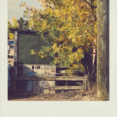 A weathered wooden shed structure is partially covered by a tree with yellowing autumn leaves. A rustic wooden fence runs along the front of the shed, with a silver metal trash can resting inside. A wooden utility pole stands on the right side of the frame under a pale sky.