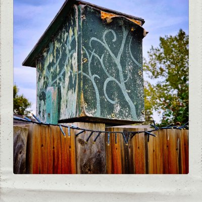 A close-up of a weathered, dark green wooden birdhouse with faded light blue vine patterns, mounted on a rustic brown wooden fence. A string of unlit fairy lights drapes across the top of the fence planks, with trees and a light blue sky visible in the background.